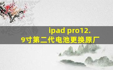 ipad pro12.9寸第二代电池更换原厂